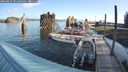 ./images/quadra/hbidock/20240829/hbidock20240829_091501M.jpg