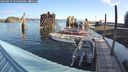 ./images/quadra/hbidock/20240829/hbidock20240829_092001M.jpg