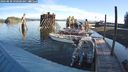 ./images/quadra/hbidock/20240830/hbidock20240830_090500M.jpg