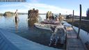 ./images/quadra/hbidock/20240830/hbidock20240830_090501M.jpg