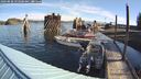 ./images/quadra/hbidock/20240830/hbidock20240830_093500M.jpg