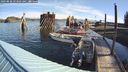 ./images/quadra/hbidock/20240830/hbidock20240830_093502M.jpg