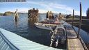 ./images/quadra/hbidock/20240830/hbidock20240830_094001M.jpg