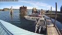 ./images/quadra/hbidock/20240830/hbidock20240830_094500M.jpg