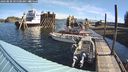 ./images/quadra/hbidock/20240830/hbidock20240830_095501M.jpg