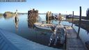 ./images/quadra/hbidock/20240831/hbidock20240831_090501M.jpg