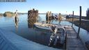 ./images/quadra/hbidock/20240831/hbidock20240831_091000M.jpg