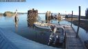 ./images/quadra/hbidock/20240831/hbidock20240831_091001M.jpg