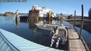 ./images/quadra/hbidock/20240831/hbidock20240831_095502M.jpg
