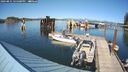 ./images/quadra/hbidock/20240831/hbidock20240831_155001M.jpg