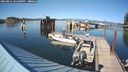 ./images/quadra/hbidock/20240831/hbidock20240831_161001M.jpg