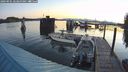 ./images/quadra/hbidock/20240901/hbidock20240901_063500M.jpg