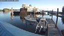 ./images/quadra/hbidock/20240901/hbidock20240901_084001M.jpg
