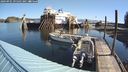 ./images/quadra/hbidock/20240901/hbidock20240901_095502M.jpg