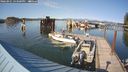 ./images/quadra/hbidock/20240901/hbidock20240901_163500M.jpg