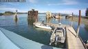 ./images/quadra/hbidock/20240902/hbidock20240902_143502M.jpg