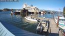 ./images/quadra/hbidock/20240902/hbidock20240902_170501M.jpg