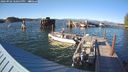 ./images/quadra/hbidock/20240902/hbidock20240902_180500M.jpg