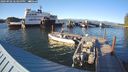 ./images/quadra/hbidock/20240902/hbidock20240902_183500M.jpg