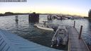 ./images/quadra/hbidock/20240902/hbidock20240902_194000M.jpg