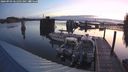 ./images/quadra/hbidock/20240903/hbidock20240903_061502M.jpg