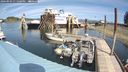 ./images/quadra/hbidock/20240903/hbidock20240903_131001M.jpg
