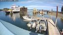 ./images/quadra/hbidock/20240903/hbidock20240903_143501M.jpg