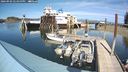 ./images/quadra/hbidock/20240903/hbidock20240903_145000M.jpg
