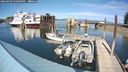 ./images/quadra/hbidock/20240903/hbidock20240903_150501M.jpg
