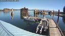 ./images/quadra/hbidock/20240904/hbidock20240904_102500M.jpg