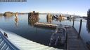 ./images/quadra/hbidock/20240905/hbidock20240905_091501M.jpg