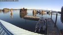 ./images/quadra/hbidock/20240905/hbidock20240905_092000M.jpg