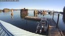 ./images/quadra/hbidock/20240905/hbidock20240905_092500M.jpg