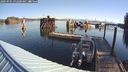 ./images/quadra/hbidock/20240905/hbidock20240905_092501M.jpg