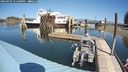 ./images/quadra/hbidock/20240905/hbidock20240905_131000M.jpg
