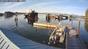 ./images/quadra/hbidock/20240905/hbidock20240905_183001M.jpg
