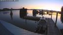 ./images/quadra/hbidock/20240906/hbidock20240906_061000M.jpg