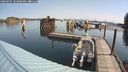 ./images/quadra/hbidock/20240907/hbidock20240907_103000M.jpg