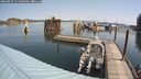 ./images/quadra/hbidock/20240907/hbidock20240907_111000M.jpg
