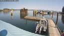 ./images/quadra/hbidock/20240907/hbidock20240907_115500M.jpg