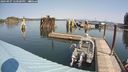 ./images/quadra/hbidock/20240907/hbidock20240907_120501M.jpg