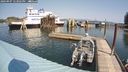 ./images/quadra/hbidock/20240907/hbidock20240907_123001M.jpg