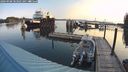 ./images/quadra/hbidock/20240908/hbidock20240908_083001M.jpg