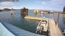 ./images/quadra/hbidock/20240908/hbidock20240908_155500M.jpg