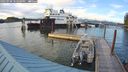 ./images/quadra/hbidock/20240908/hbidock20240908_184500M.jpg
