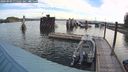./images/quadra/hbidock/20240909/hbidock20240909_075501M.jpg