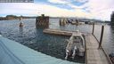 ./images/quadra/hbidock/20240909/hbidock20240909_100500M.jpg