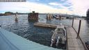 ./images/quadra/hbidock/20240909/hbidock20240909_101000M.jpg