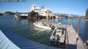 ./images/quadra/hbidock/20240909/hbidock20240909_165001M.jpg