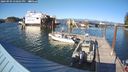 ./images/quadra/hbidock/20240909/hbidock20240909_170501M.jpg